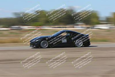 media/Oct-04-2025-OnGrid (Sat) [[44bd565ffa]]/Purple Group/Grapevine/